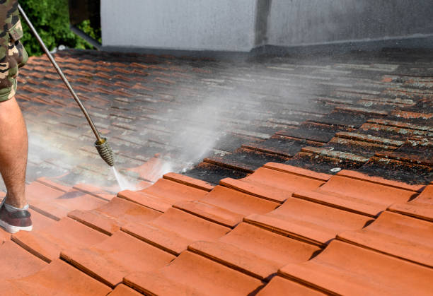 Best Concrete Pressure Washing  in Alton, IA