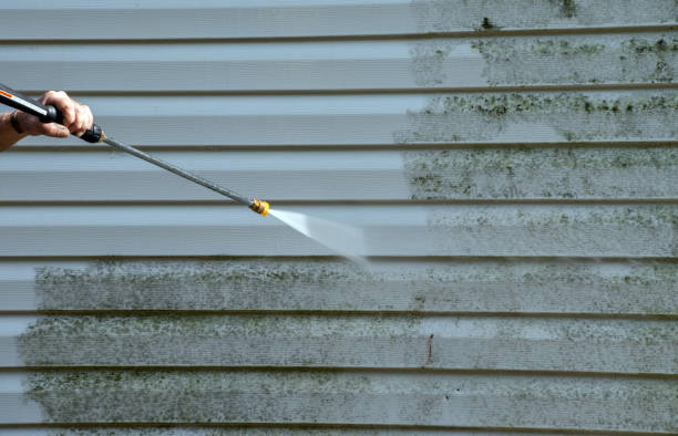 Best Roof Power Washing Services  in Alton, IA