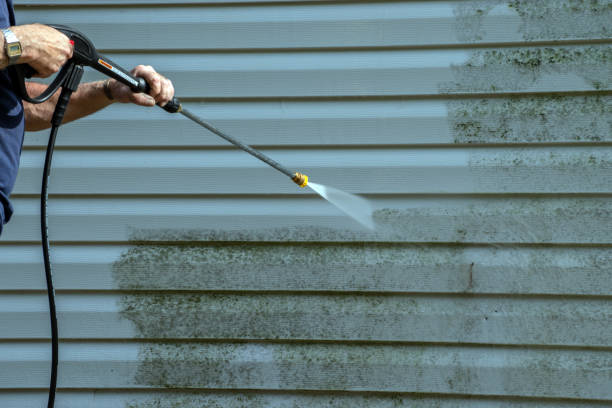 Best Affordable Pressure Washing  in Alton, IA