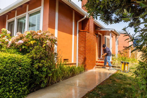 Best Local Pressure Washing Services  in Alton, IA