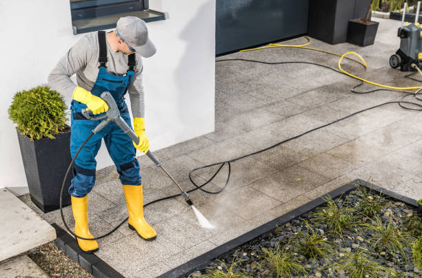 Best Exterior Home Cleaning  in Alton, IA