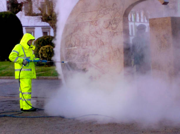 Best Roof Pressure Washing  in Alton, IA